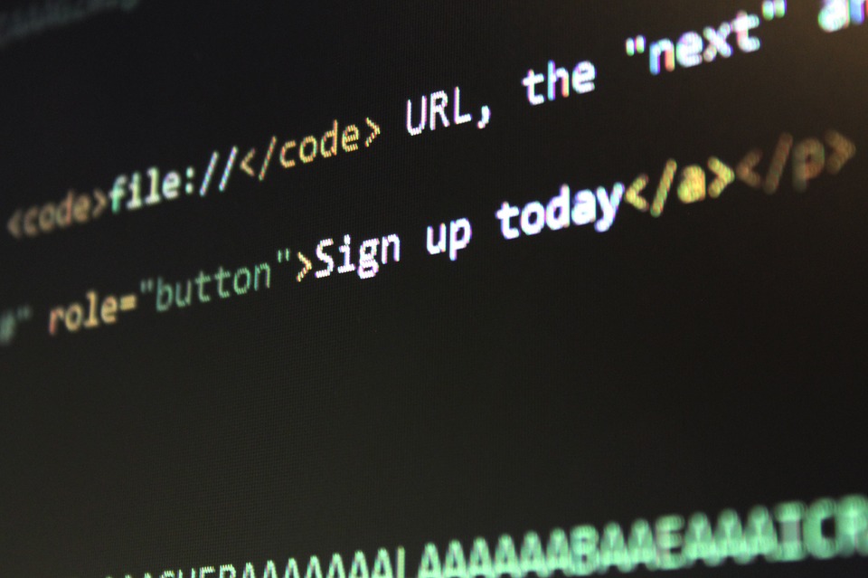 Who is a Software Engineer Who is a Software Engineer